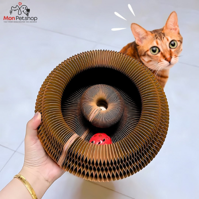 Spirale pour Chat